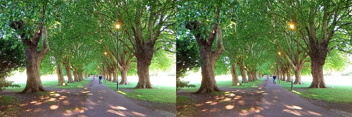 Jesus Green — Landmark, City Centre, Cambridge