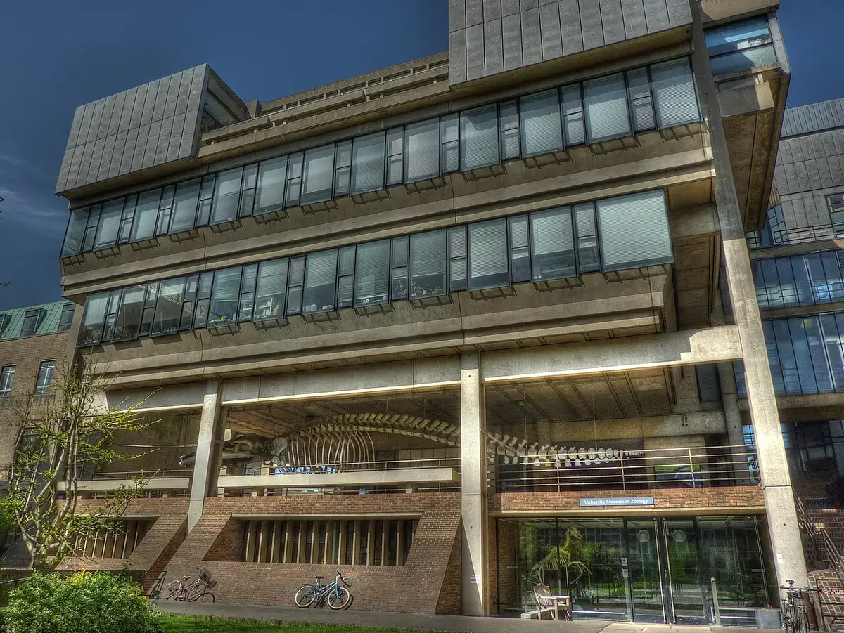 University Museum of Zoology — Museum, City Centre, Cambridge
